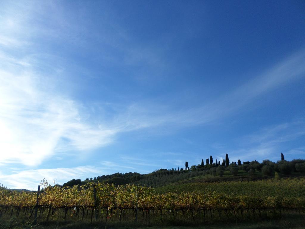 Tenuta Villa Rocchi Torrita di Siena Eksteriør bilde