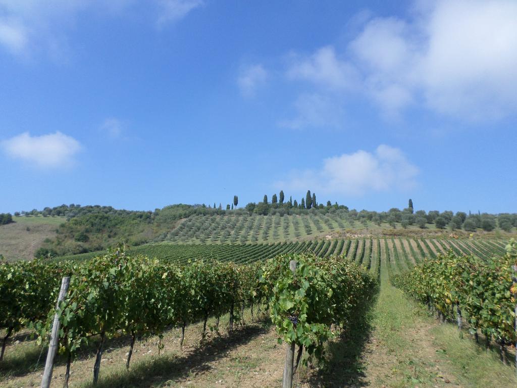 Tenuta Villa Rocchi Torrita di Siena Eksteriør bilde