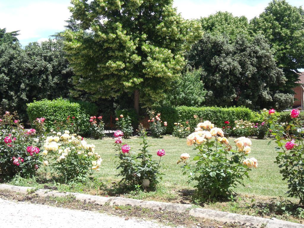 Tenuta Villa Rocchi Torrita di Siena Eksteriør bilde
